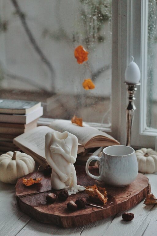 Creating a Cozy Reading Corner at Home: A Step-by-Step Guide